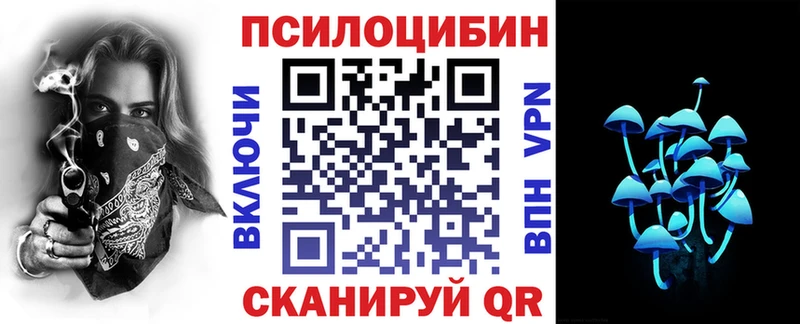 продажа наркотиков  Краснозаводск  Галлюциногенные грибы GOLDEN TEACHER 